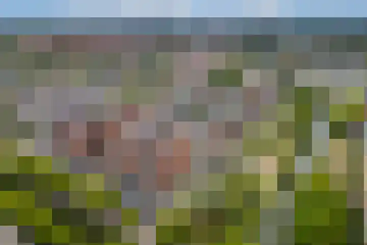 Heemstedelaan 91 Utrecht thumbnail 33