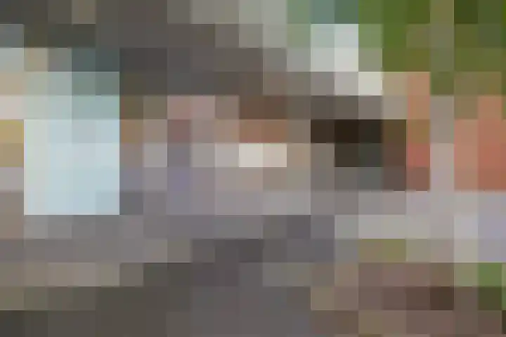 Heemstedelaan 91 Utrecht thumbnail 6