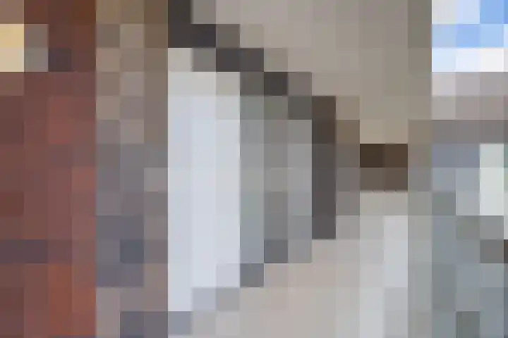 Heemstedelaan 91 Utrecht thumbnail 8