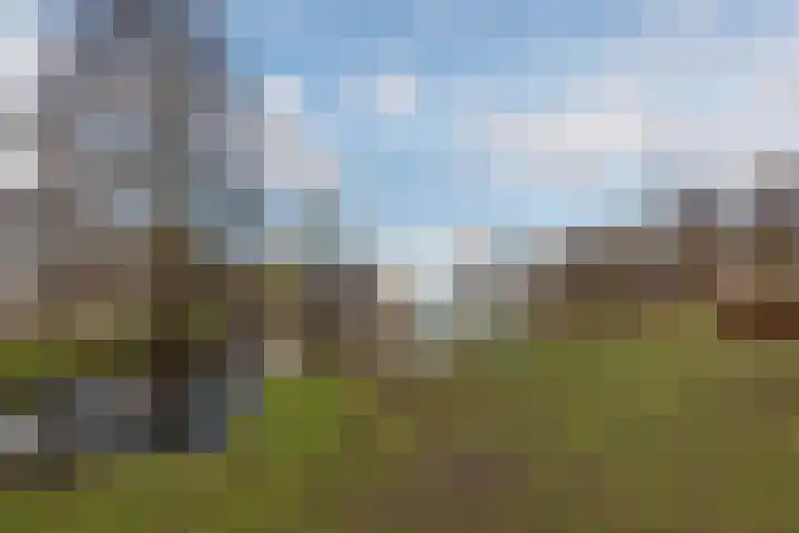 Heemstedesingel 18 Bunschoten-Spakenburg thumbnail 36