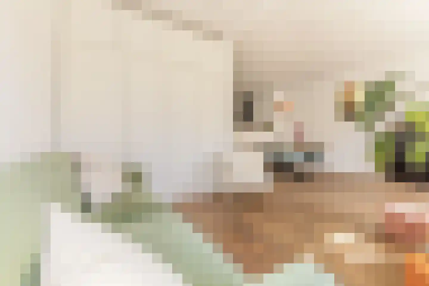 Heemstedestraat 10 2 Amsterdam thumbnail 7