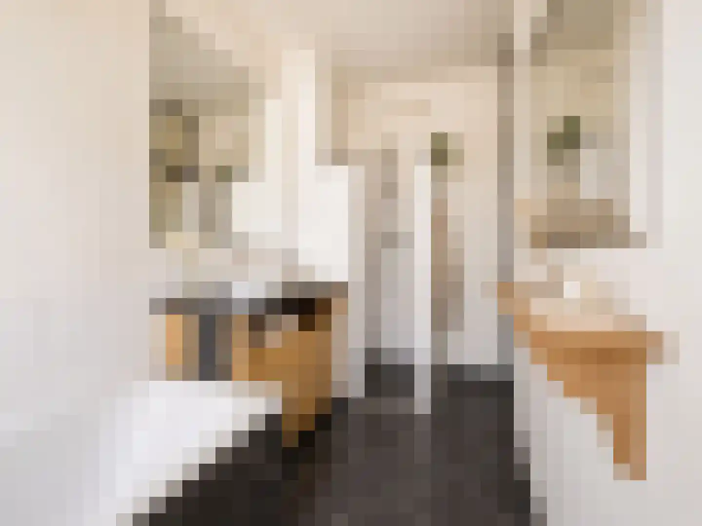 Heemstedestraat 10 H Amsterdam thumbnail 21
