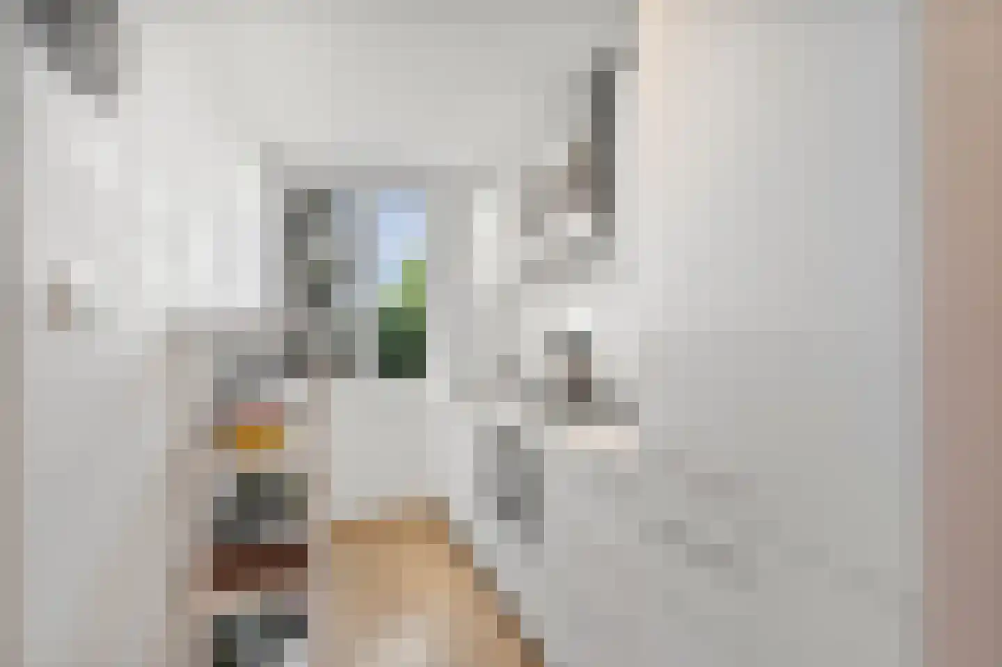 Heemstedestraat 13 3 Amsterdam thumbnail 17