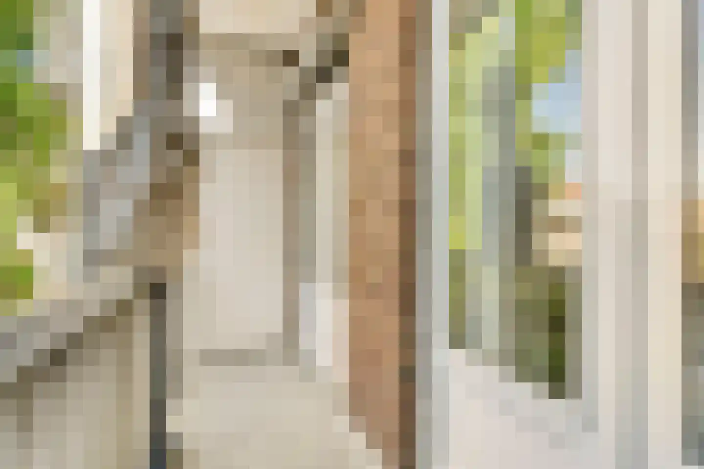 Heemstedestraat 13 3 Amsterdam thumbnail 25