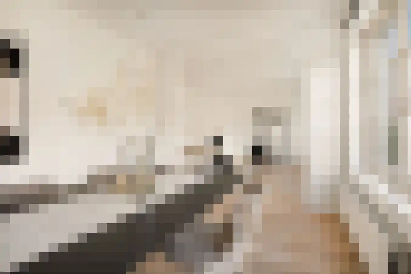Heemstedestraat 13 3 Amsterdam thumbnail 4