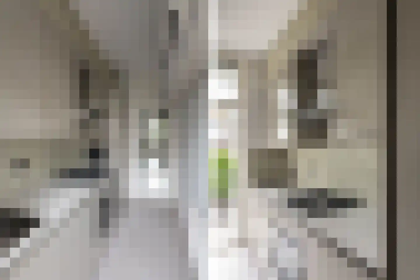 Heemstedestraat 20 1 Amsterdam thumbnail 13