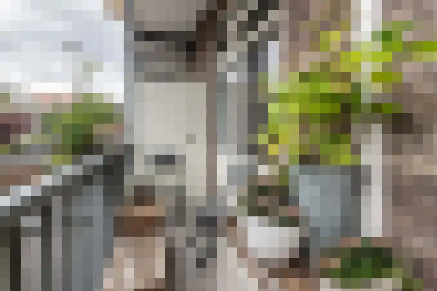 Heemstedestraat 20 1 Amsterdam thumbnail 18