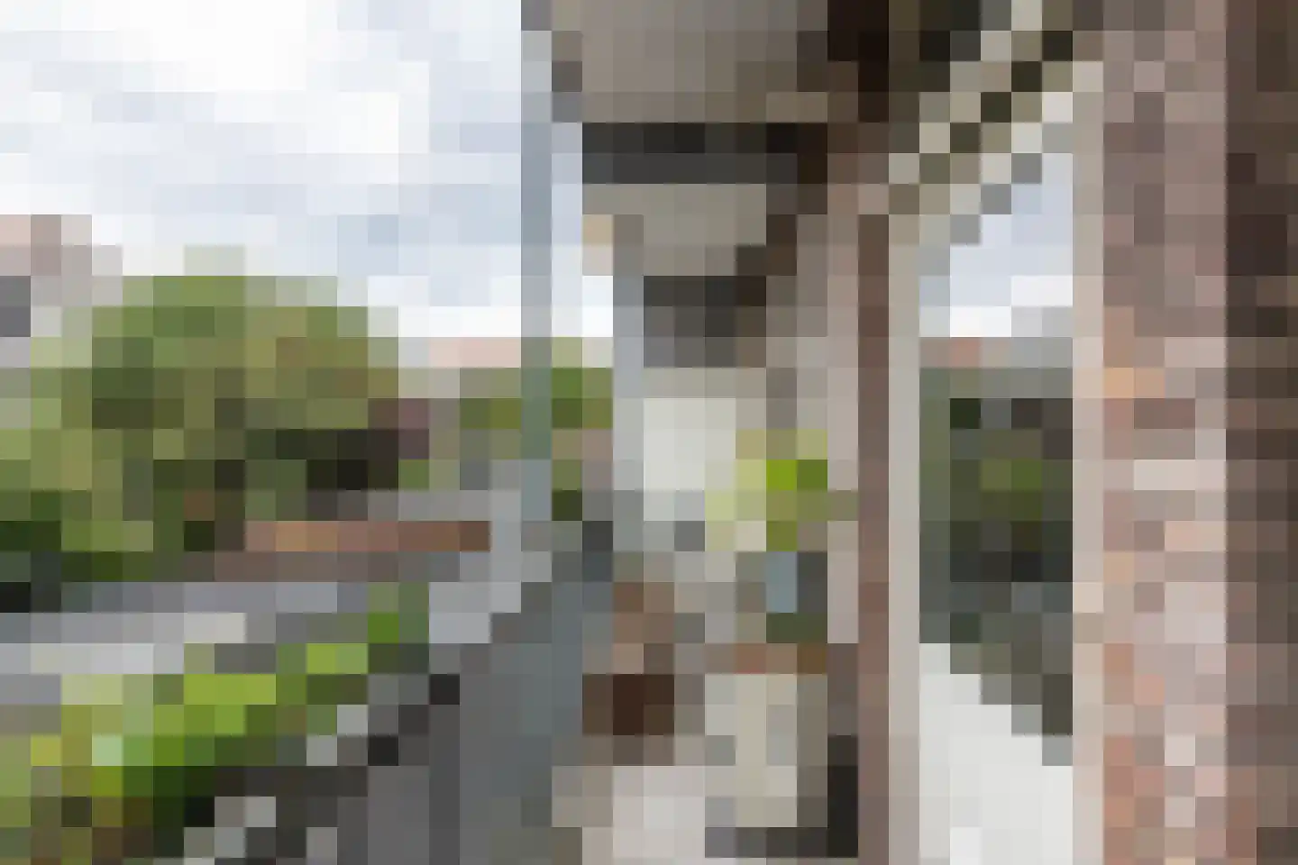 Heemstedestraat 20 1 Amsterdam thumbnail 19
