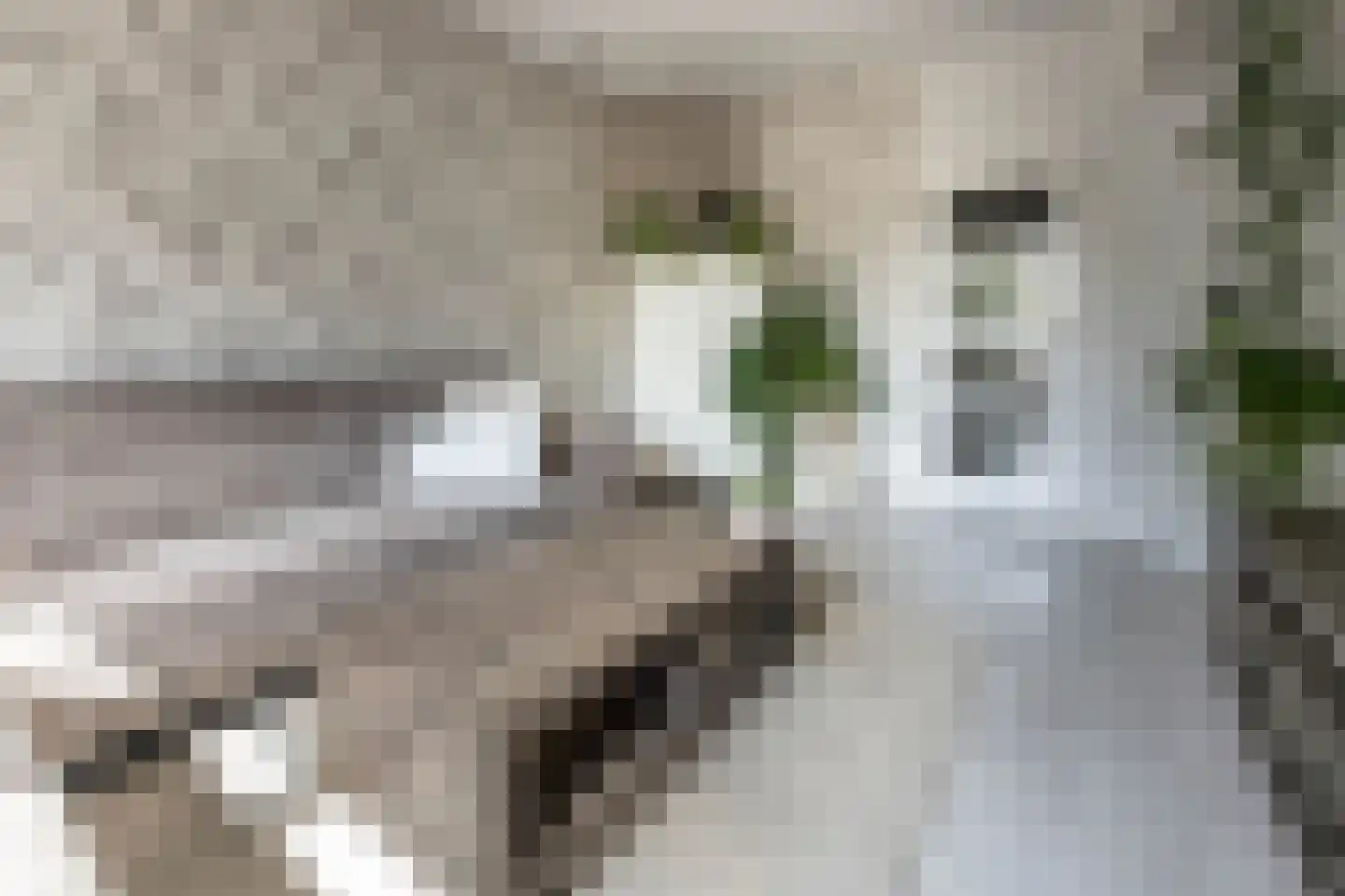 Heemstedestraat 20 1 Amsterdam thumbnail 8