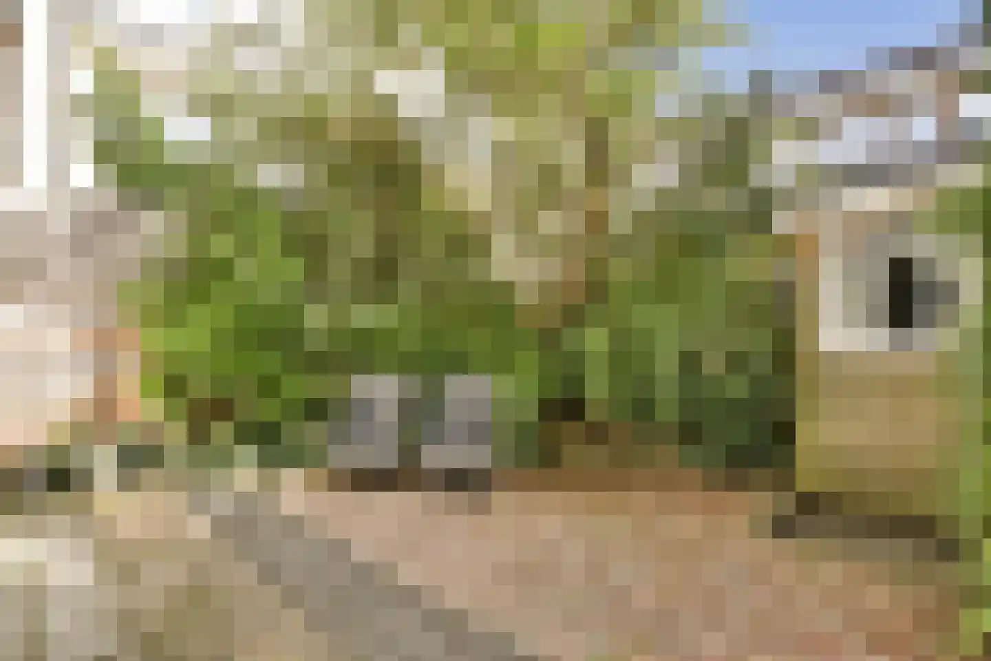 Heemstedestraat 31 H Amsterdam thumbnail 17