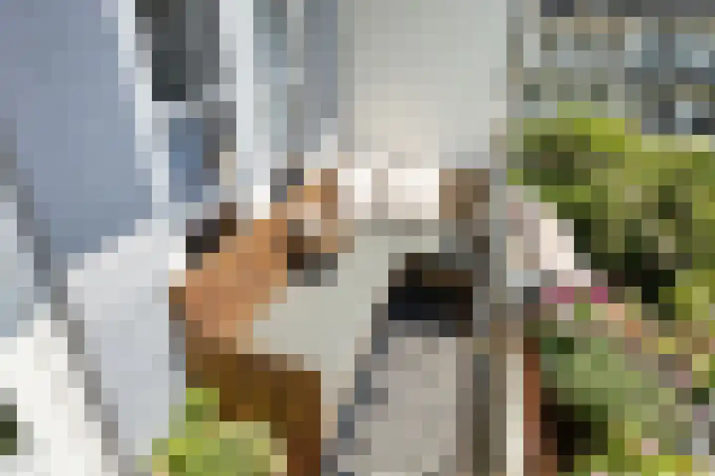 Heemstedestraat 39 2 Amsterdam thumbnail 26