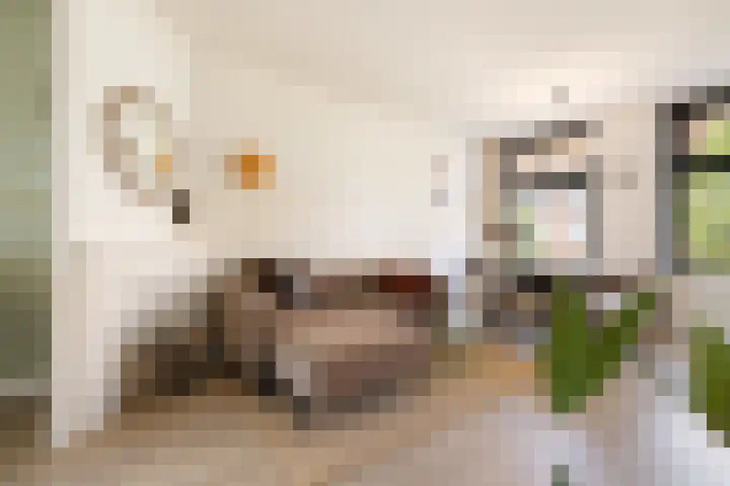 Heemstedestraat 39 2 Amsterdam thumbnail 8