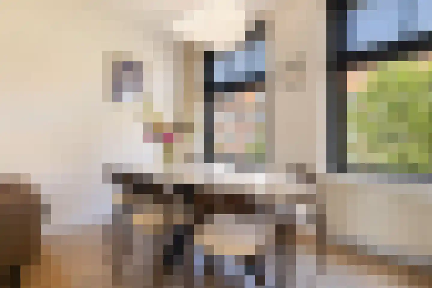 Heemstedestraat 39 2 Amsterdam thumbnail 9