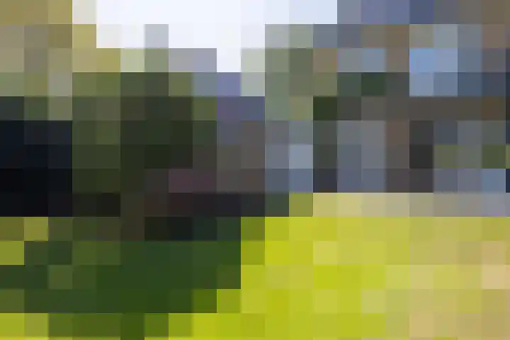 Heemsteedse Dreef 110 Heemstede thumbnail 25