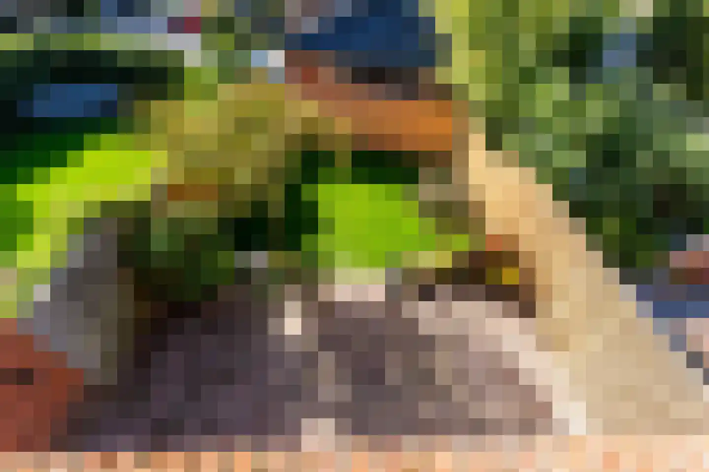 Heemsteedse Dreef 127 Heemstede thumbnail 31