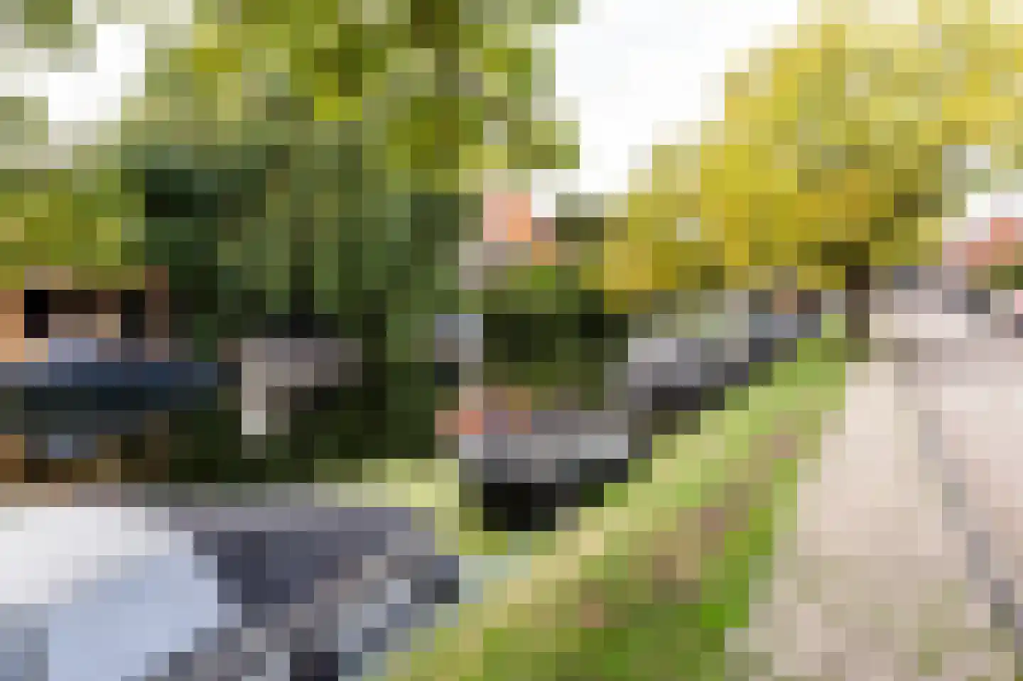 Heemsteedse Dreef 127 Heemstede thumbnail 49