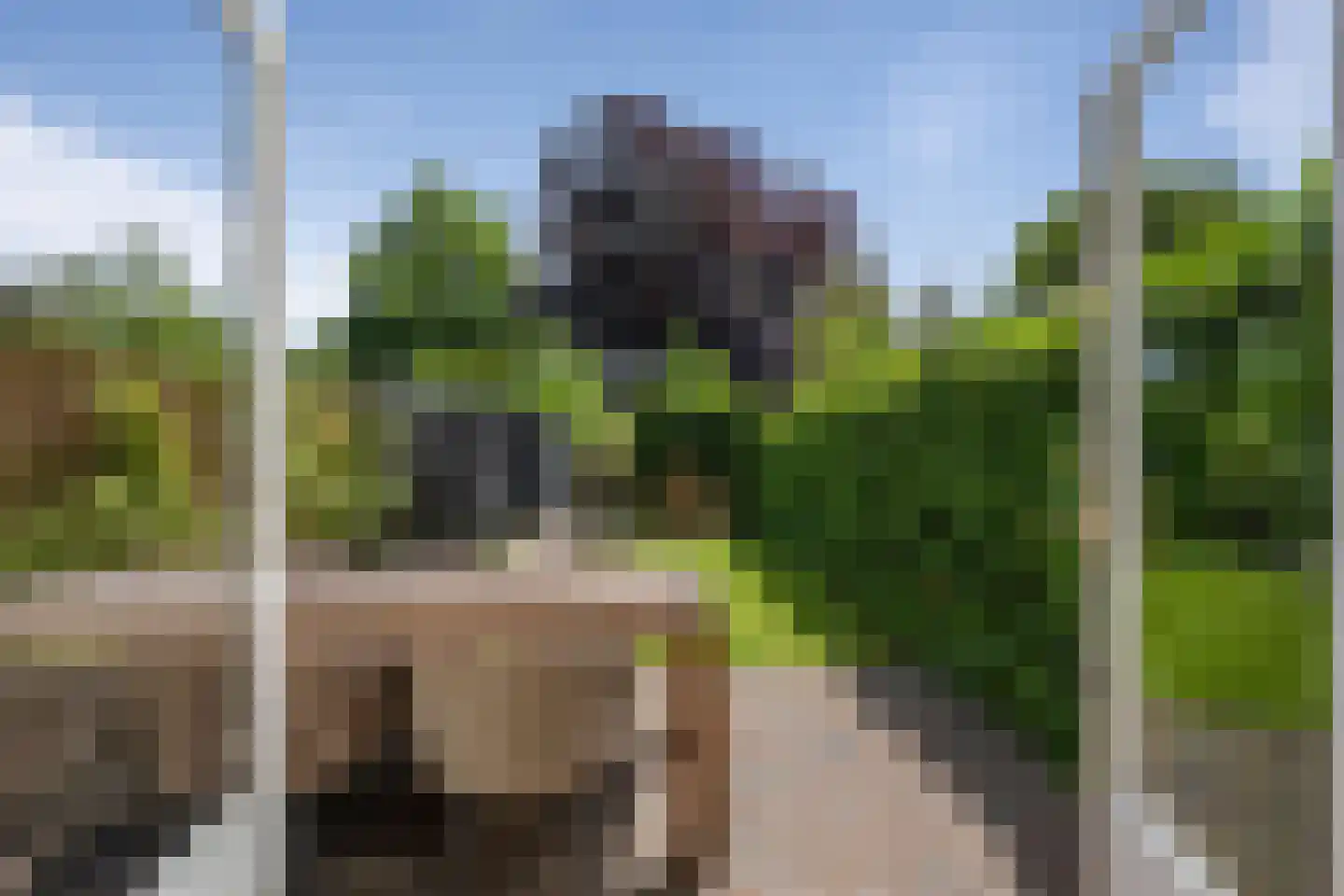 Heemsteedse Dreef 20 Heemstede thumbnail 13
