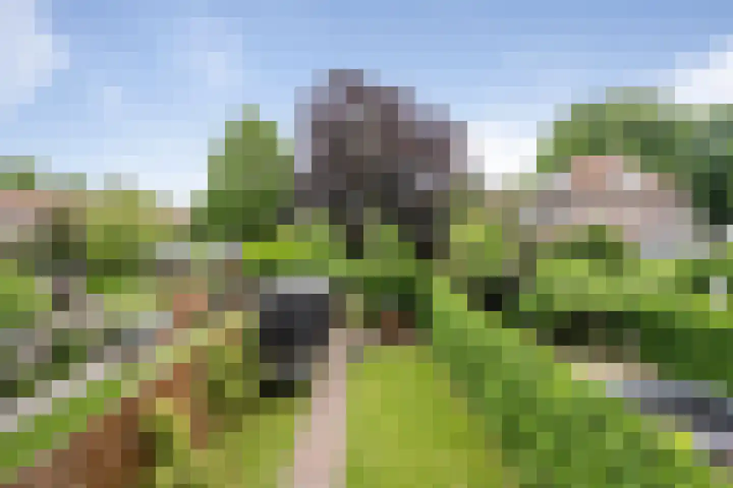 Heemsteedse Dreef 20 Heemstede thumbnail 30