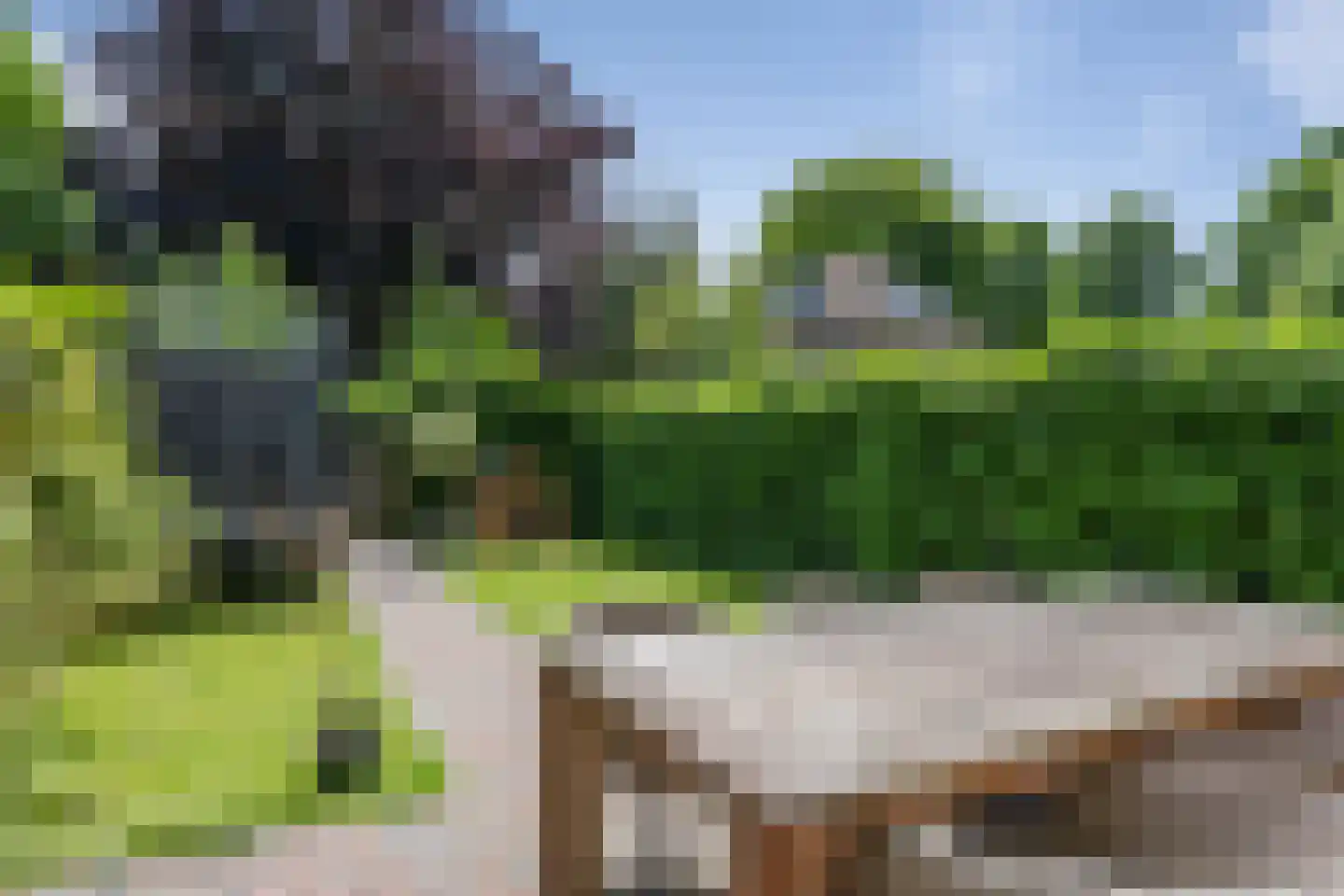 Heemsteedse Dreef 20 Heemstede thumbnail 4