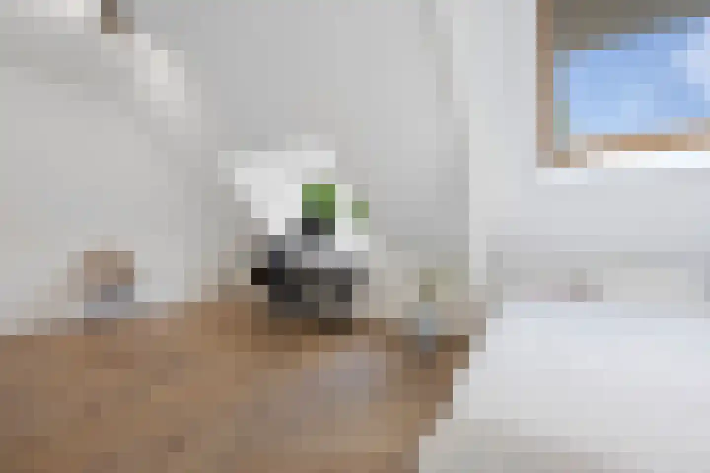 Heemsteedse Dreef 20 Heemstede thumbnail 43