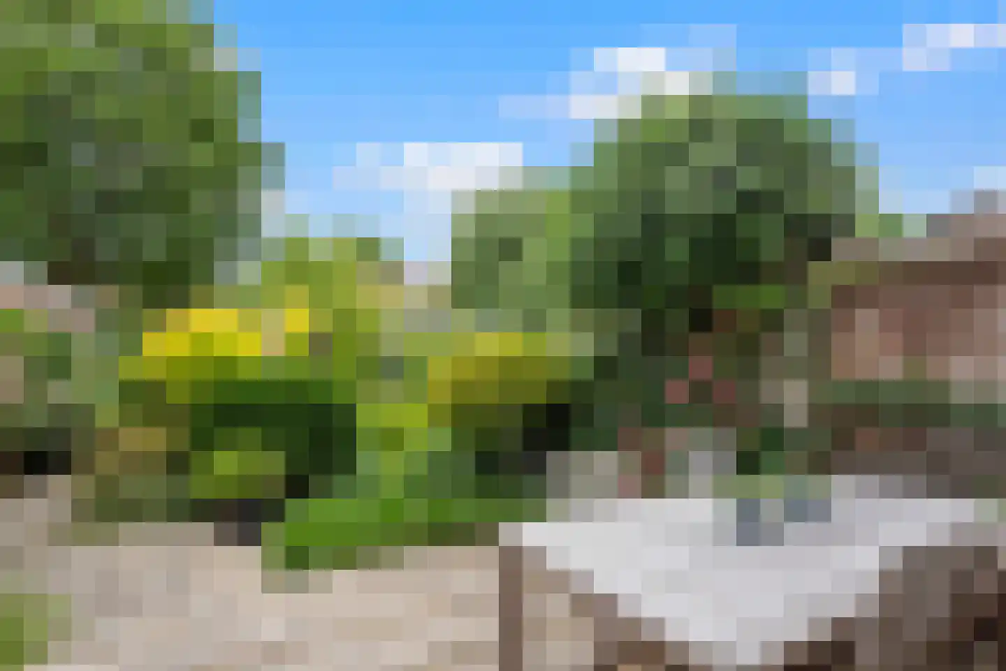 Heemsteedse Dreef 215 Heemstede thumbnail 52