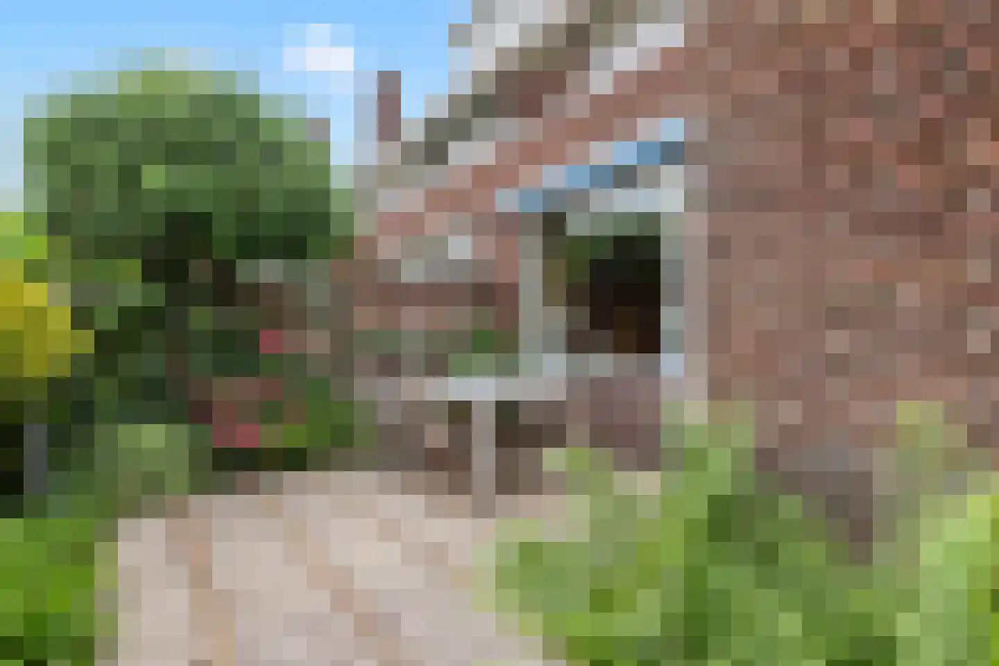 Heemsteedse Dreef 215 Heemstede thumbnail 53