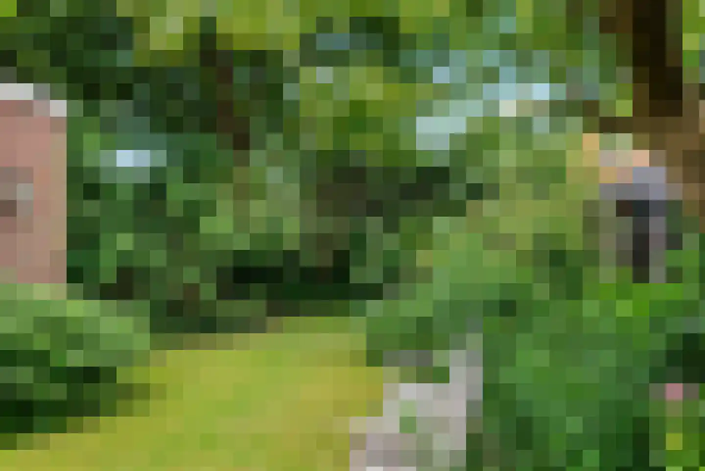 Heemsteedse Dreef 215 Heemstede thumbnail 54
