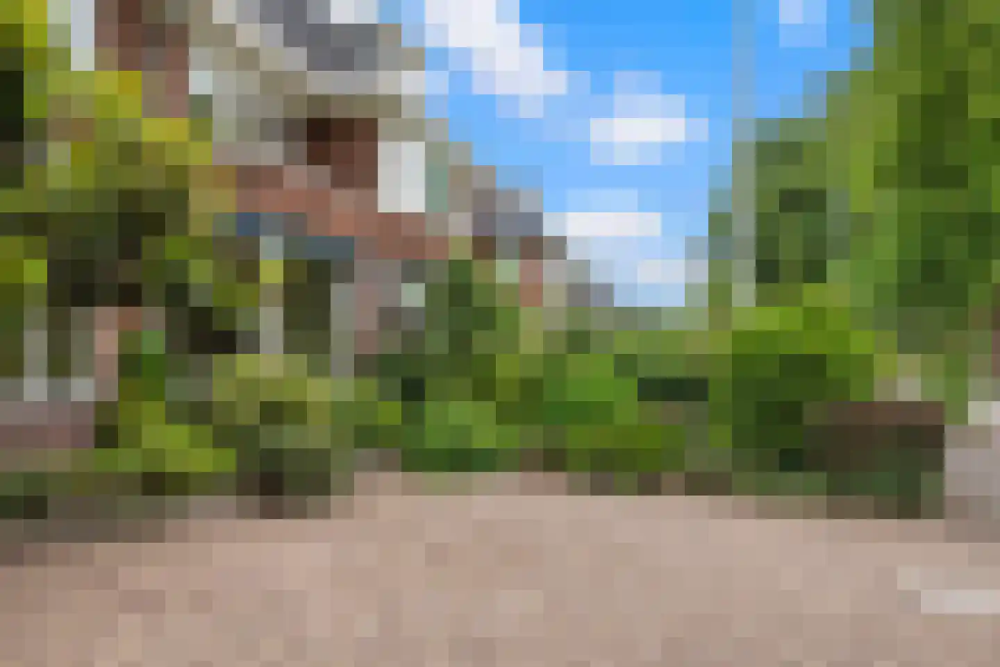 Heemsteedse Dreef 215 Heemstede thumbnail 61
