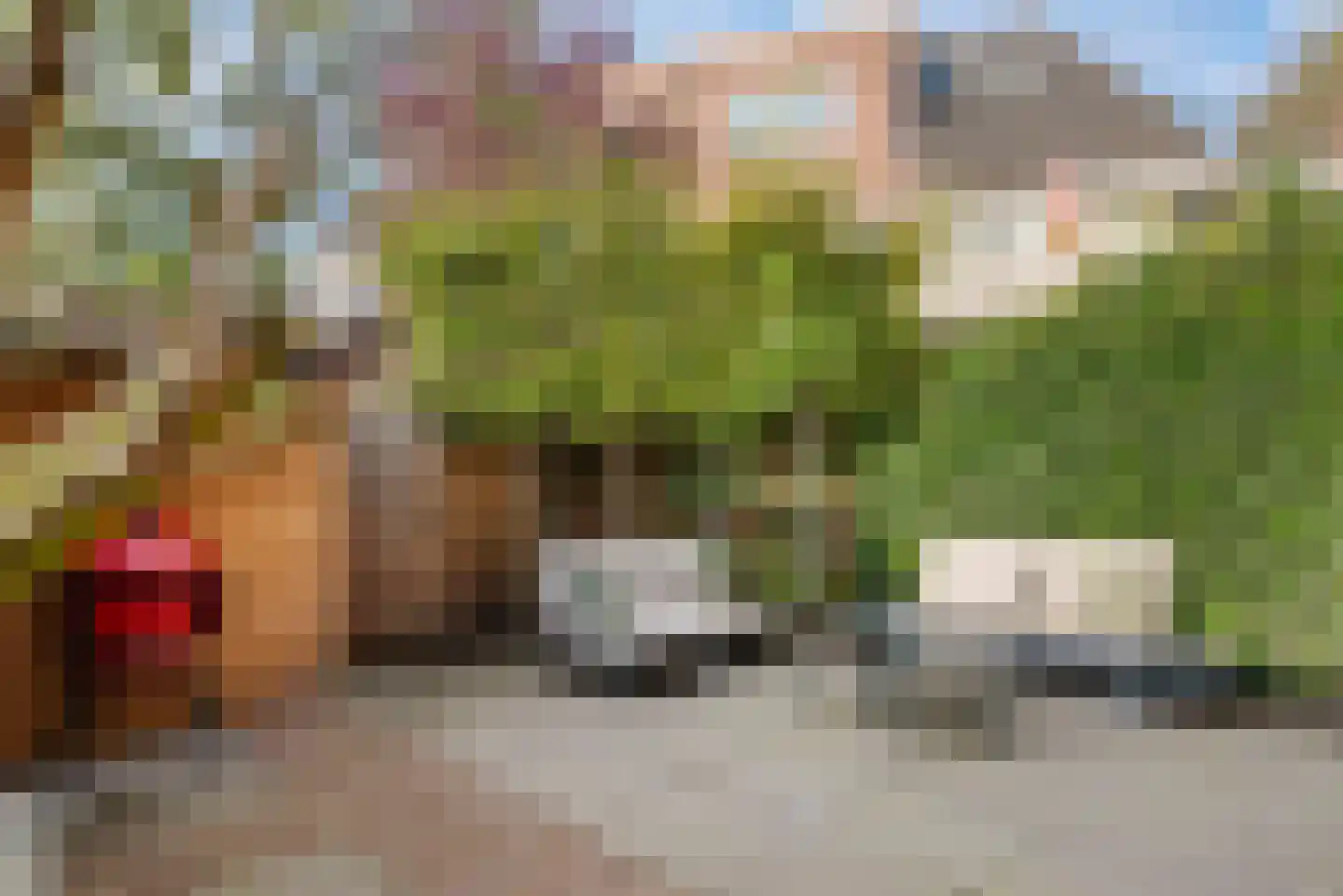 Heemsteedse Dreef 23 Heemstede thumbnail 36