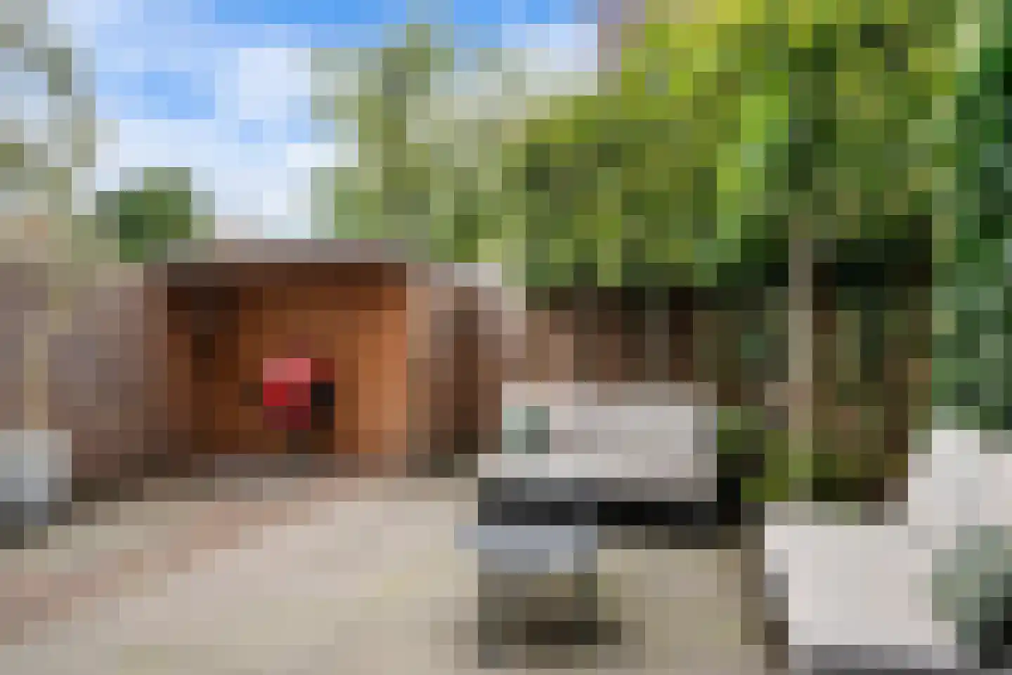 Heemsteedse Dreef 23 Heemstede thumbnail 5