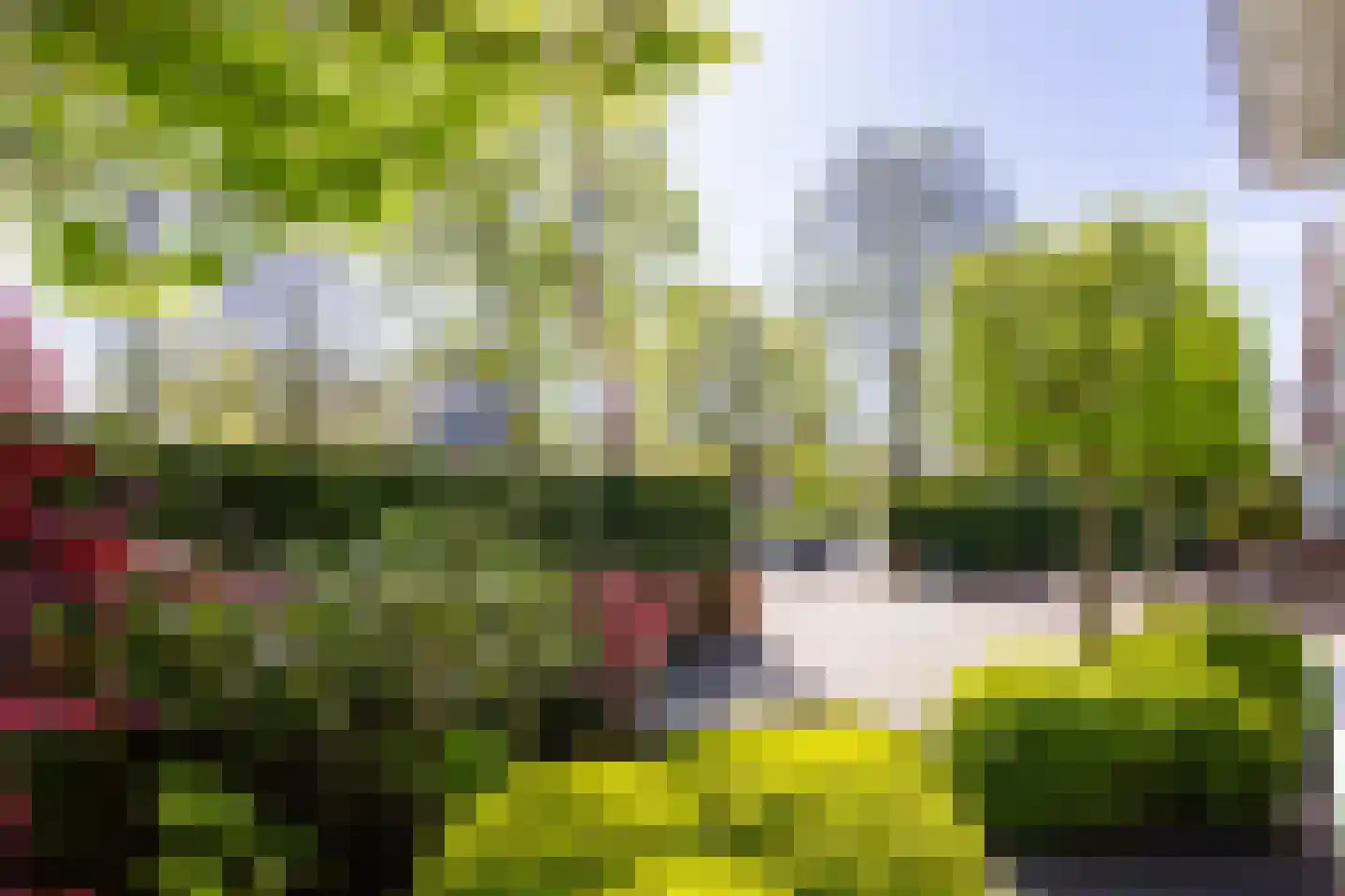 Heemsteedse Dreef 239 Heemstede thumbnail 33