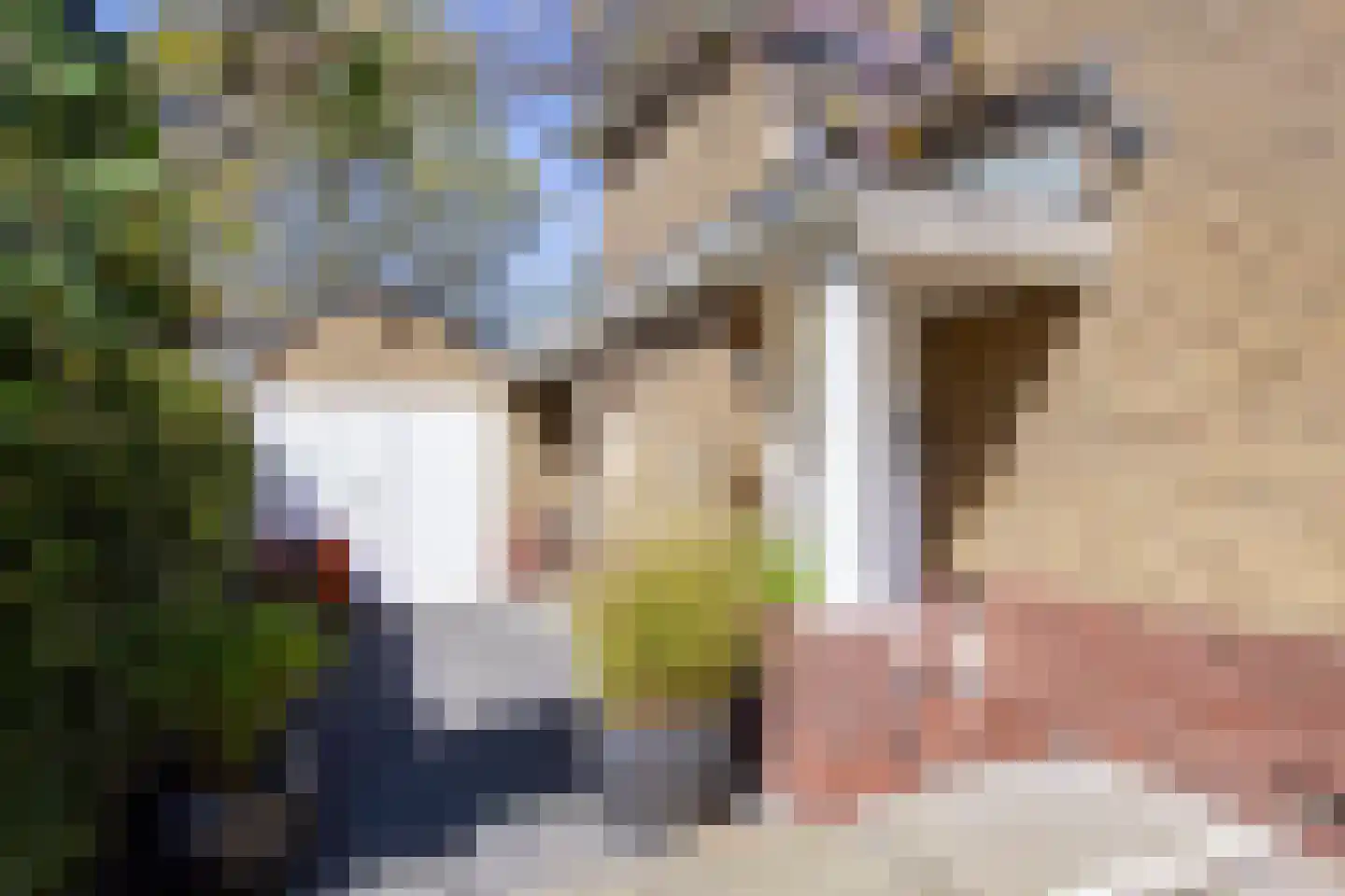 Heemsteedse Dreef 239 Heemstede thumbnail 51