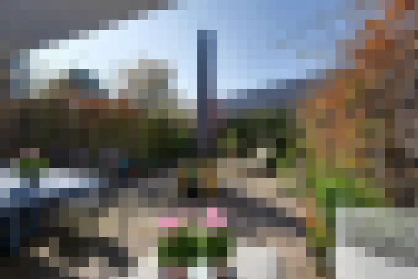 Heemsteedse Dreef 257 Heemstede thumbnail 30