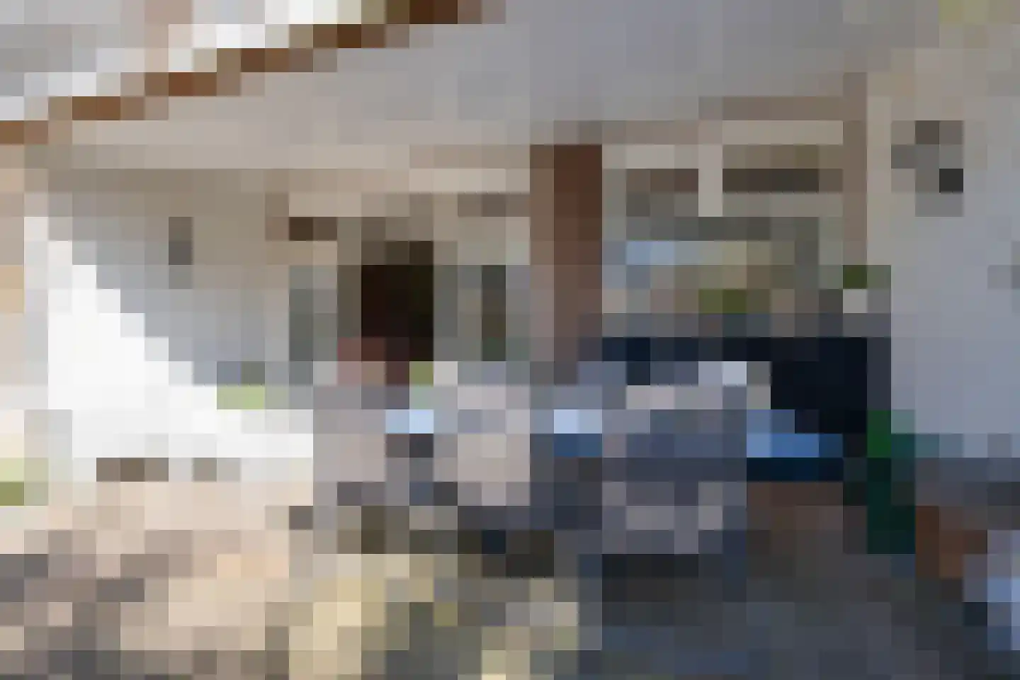 Heemsteedse Dreef 257 Heemstede thumbnail 33