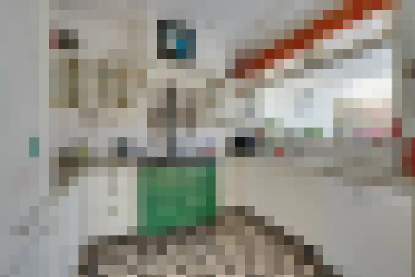 Heemsteedse Dreef 257 Heemstede thumbnail 5