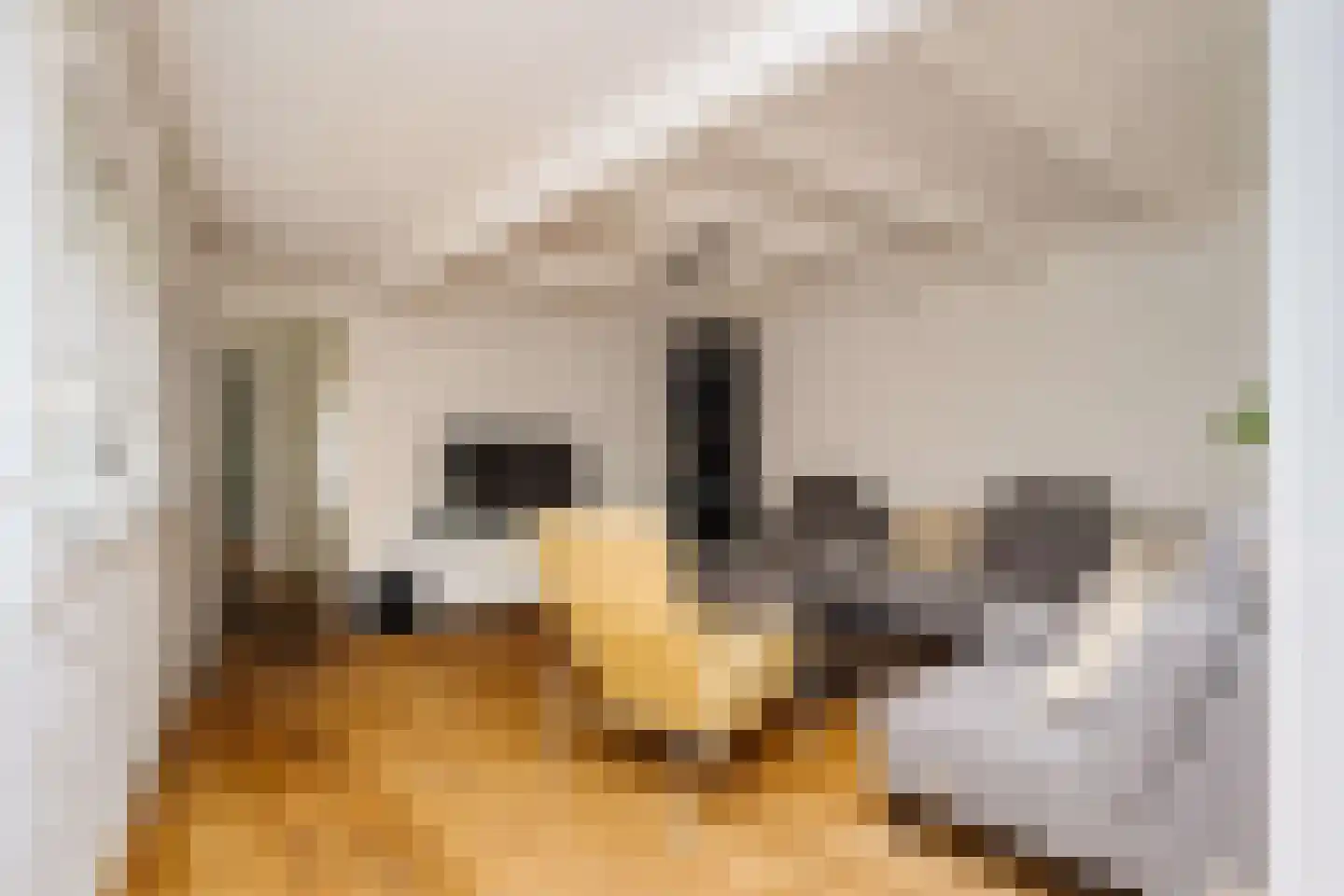 Heemsteedse Dreef 263 Heemstede thumbnail 29