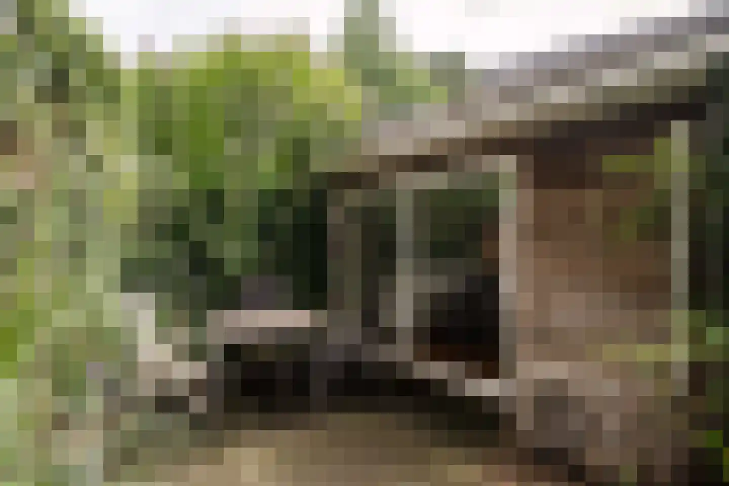 Heemsteedse Dreef 263 Heemstede thumbnail 43