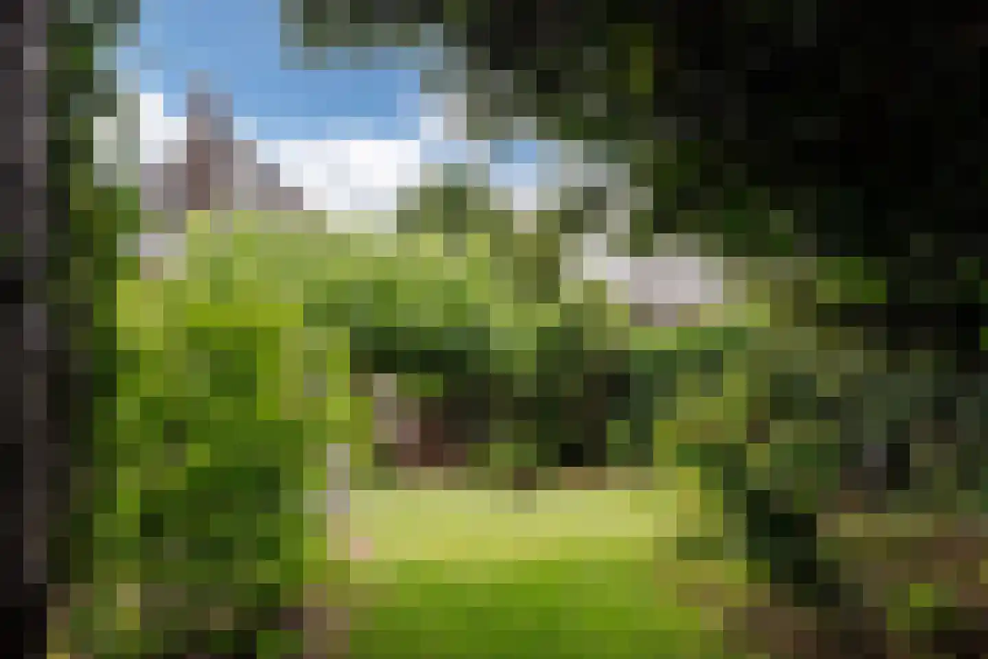 Heemsteedse Dreef 263 Heemstede thumbnail 44