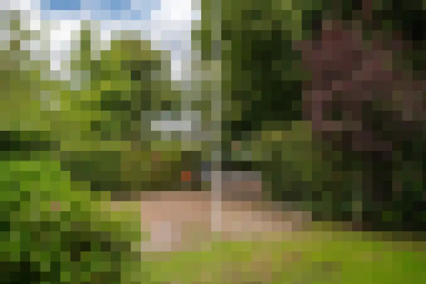 Heemsteedse Dreef 263 Heemstede thumbnail 5