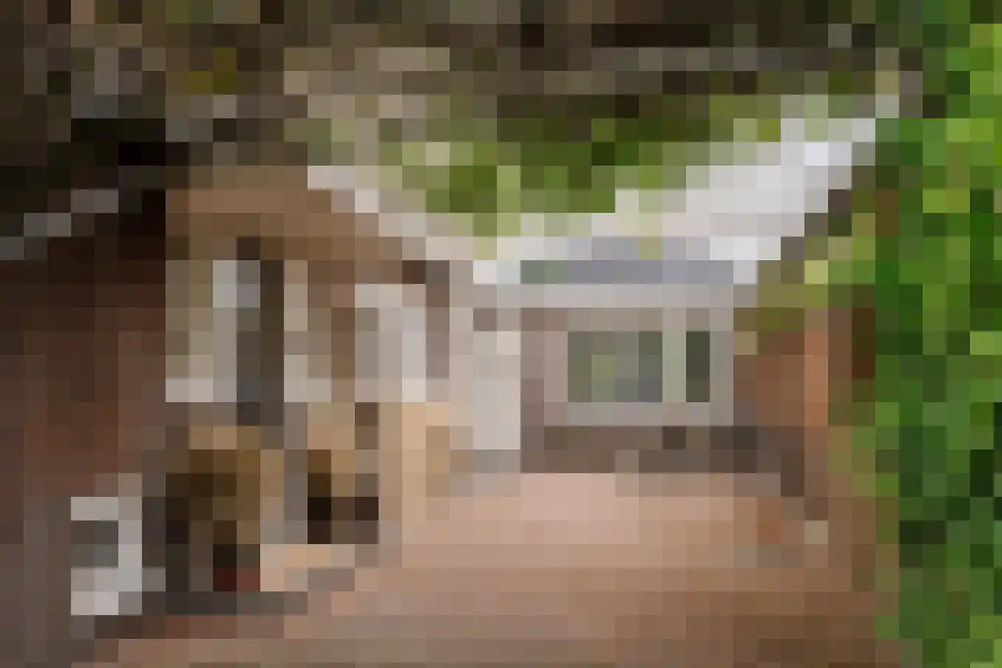 Heemsteedse Dreef 263 Heemstede thumbnail 7