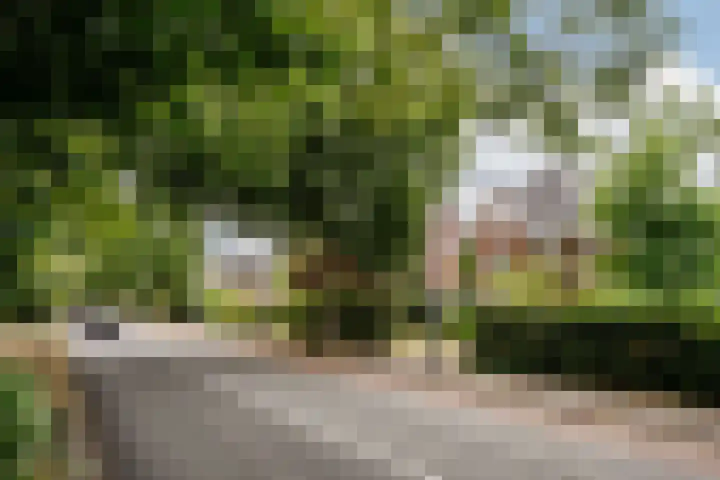 Heemsteedse Dreef 263 Heemstede thumbnail 76