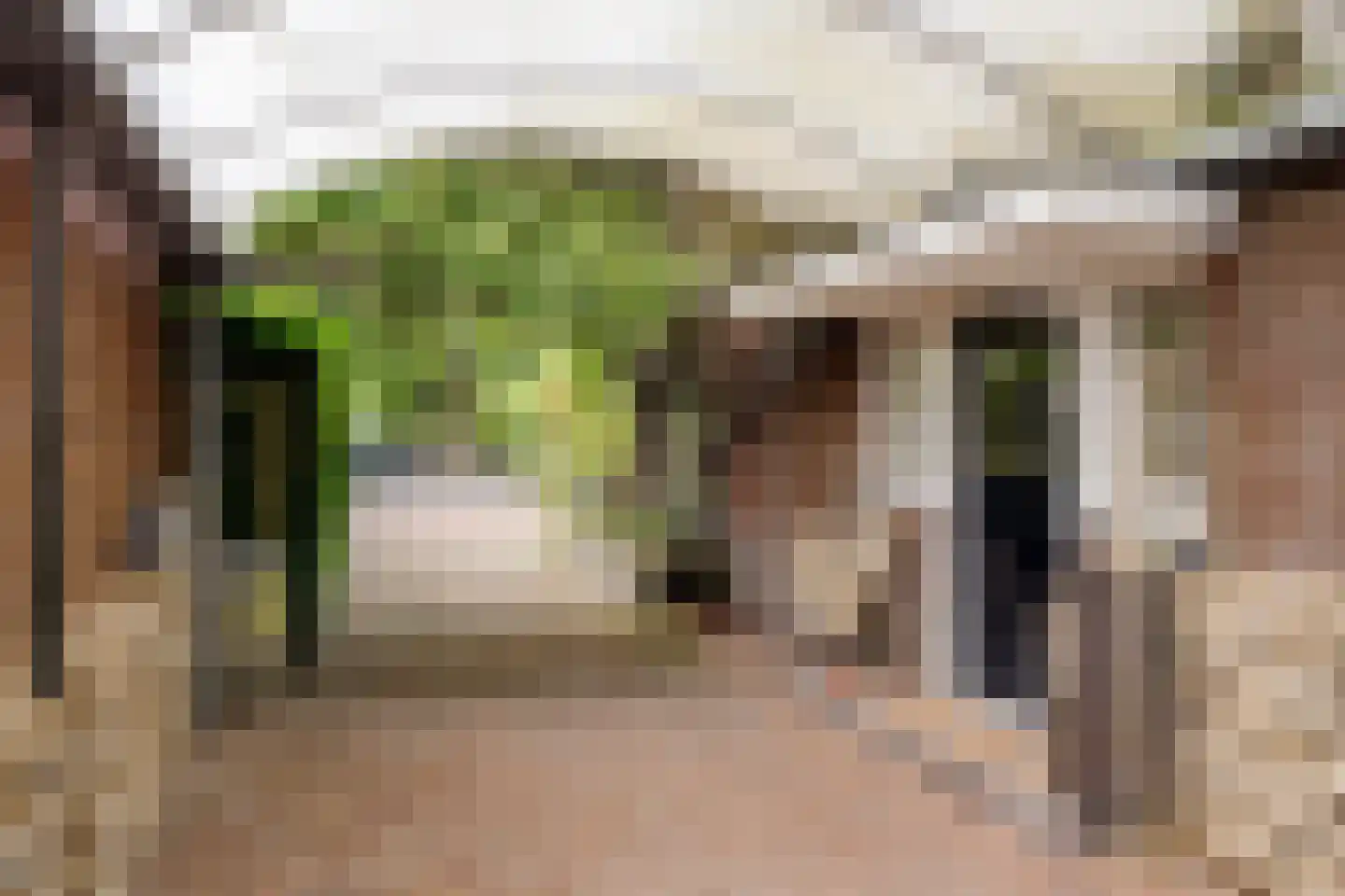 Heemsteedse Dreef 263 Heemstede thumbnail 8