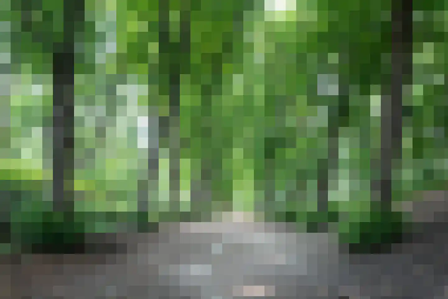 Heemsteedse Dreef 271 Heemstede thumbnail 62