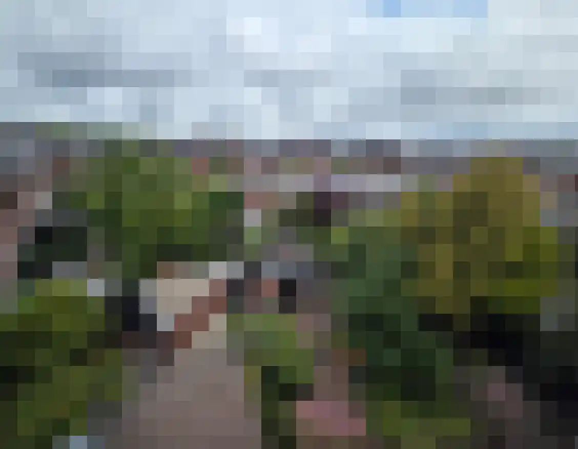 Heemsteedse Dreef 36 Heemstede thumbnail 38