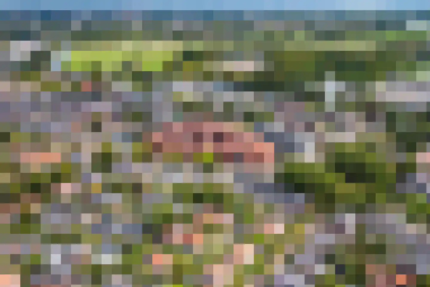 Heemsteedse Dreef 41 Heemstede thumbnail 53