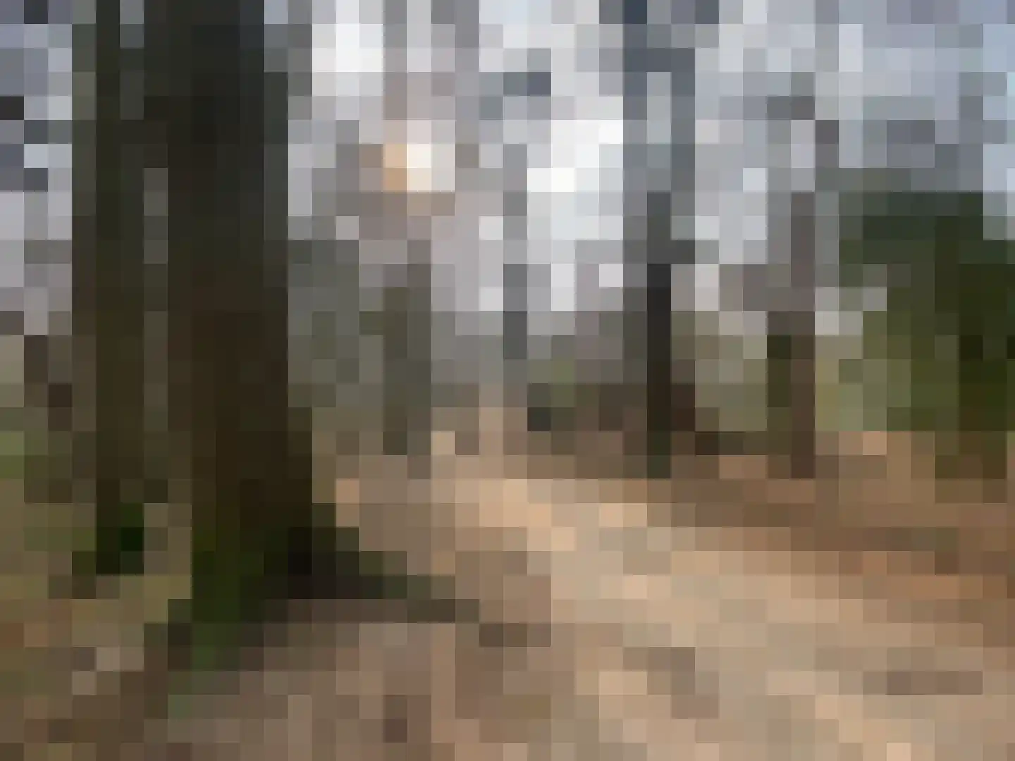Heemsteedse Dreef 41 Heemstede thumbnail 57
