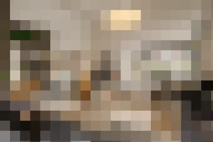 Heemsteedse Dreef 83 Heemstede thumbnail 11