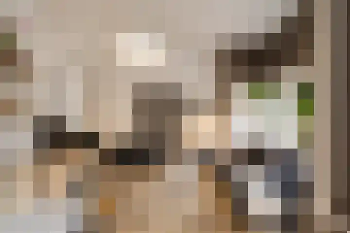 Heemsteedse Dreef 83 Heemstede thumbnail 15