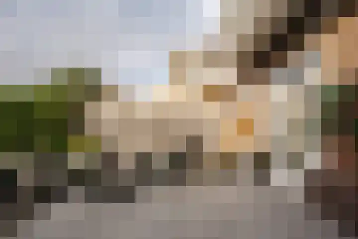 Heemsteedse Dreef 83 Heemstede thumbnail 24