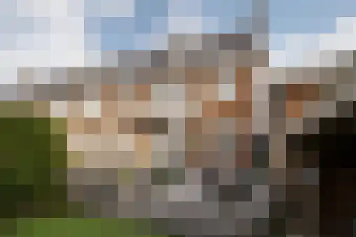 Heemsteedse Dreef 83 Heemstede thumbnail 29